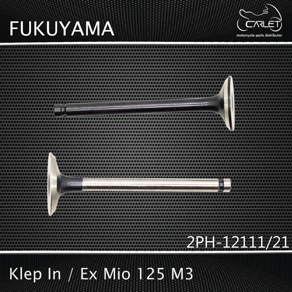 Fukuyama Klep In / Ex Mio 125 m3